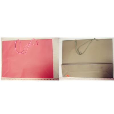 Paper plastic gift bag (L)